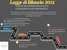 FRINGE 2025 SU AUTO CONCESSE IN USO PROMISCUO